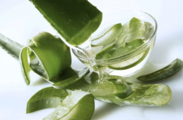 Aloe-Vera-face-masks-are-awesome