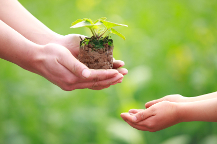 eco-friendly-digest